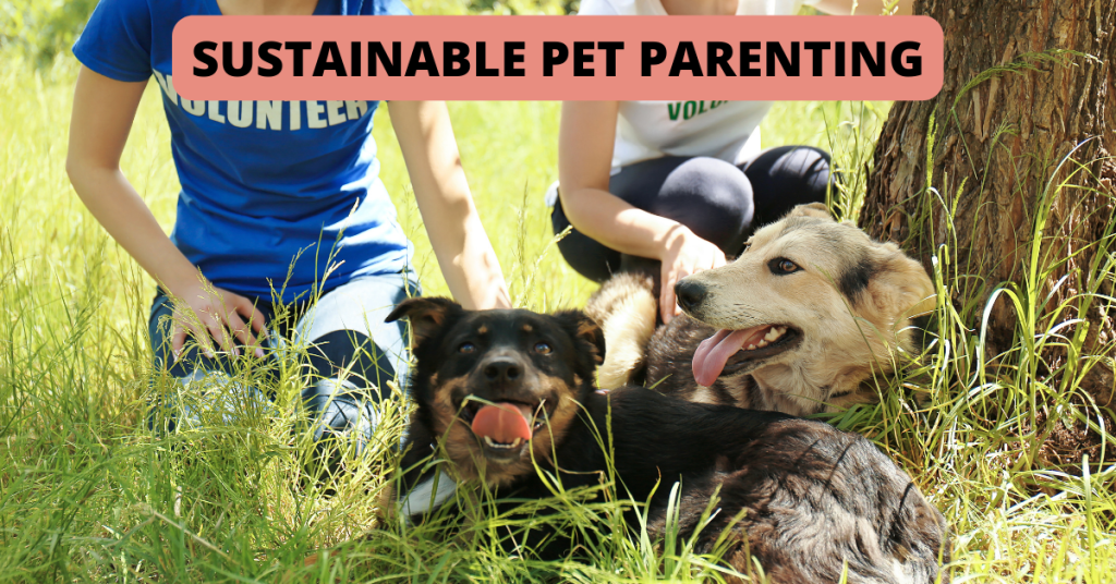 shoreline pet parents