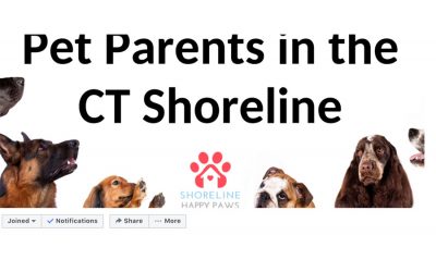 Connecticut Shoreline Pet Community