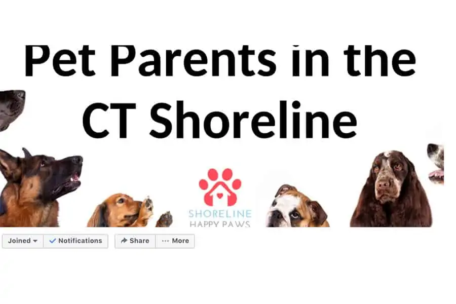Join the CT Pet Parent Community!