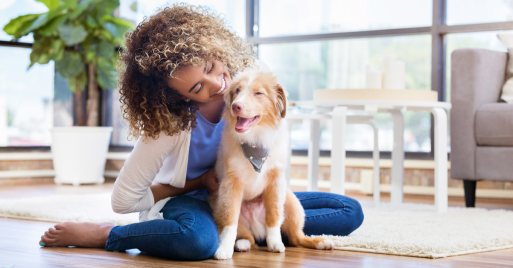 puppies shoreline ct
