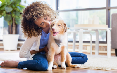 Five Things You Need For Your New Puppy
