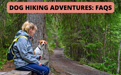 Dog Hiking Adventures: Frequently Asked Questions