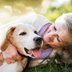senior dog care shoreline ct