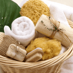 Holiday Gifts for Pet Sitters 3 ct shoreline service business