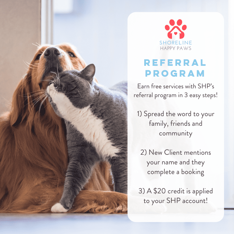 Saving Money on Pet Care 4 Shoreline CT Pet Sitter