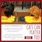 gifts for cats shoreline ct