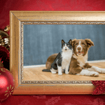 pet gifts shoreline ct