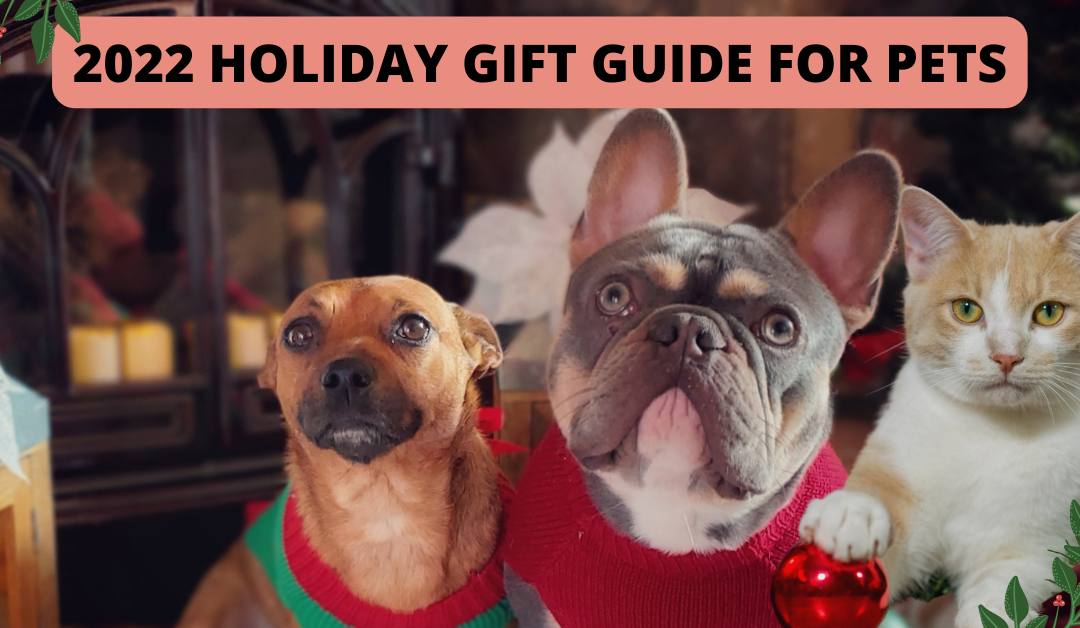 2022 Holiday Gift Guide for Pets