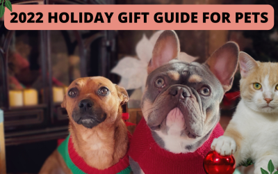 2022 Holiday Gift Guide for Pets
