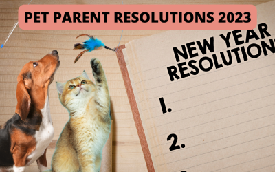 Pet Parent Resolutions