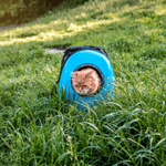 cat sitter old saybrook
