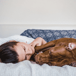 shoreline ct dog sitter