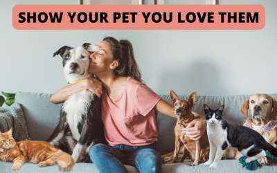 Show Your Pet You Love Them