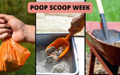 Poop Scoop Week