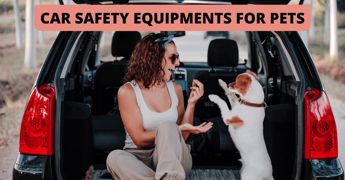 Car Safety Equipment for Pets Shoreline Happy Paws