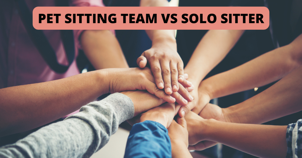 connecticut shoreline pet sitting company