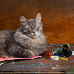cat sitter old saybrook
