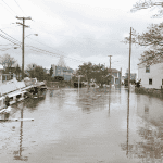 How Hurricanes Affect Pets 2 connecticut shoreline hurricane prep