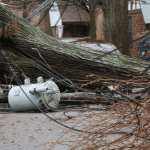 How Hurricanes Affect Pets 4 hurricanes and pets connecticut shoreline
