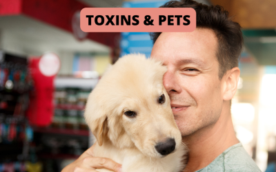 Toxins and Pets