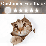Giving Thanks for Our Clients 3 shoreline happy paws reviews
