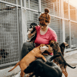 ct shoreline volunteer rescue