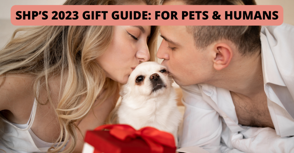 CONNECTICUT SHORELINE PETS