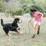 How Dog Walkers Help Moms & Moms-to-Be 4 dog walking old saybrook