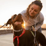 How Dog Walkers Help Moms & Moms-to-Be 5 dog walker old saybrook