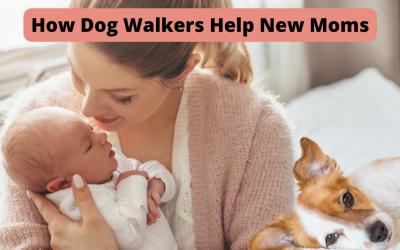How Dog Walkers Help Moms & Moms-to-Be