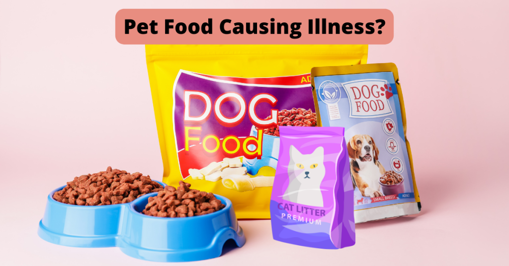 Connecticut shoreline pets