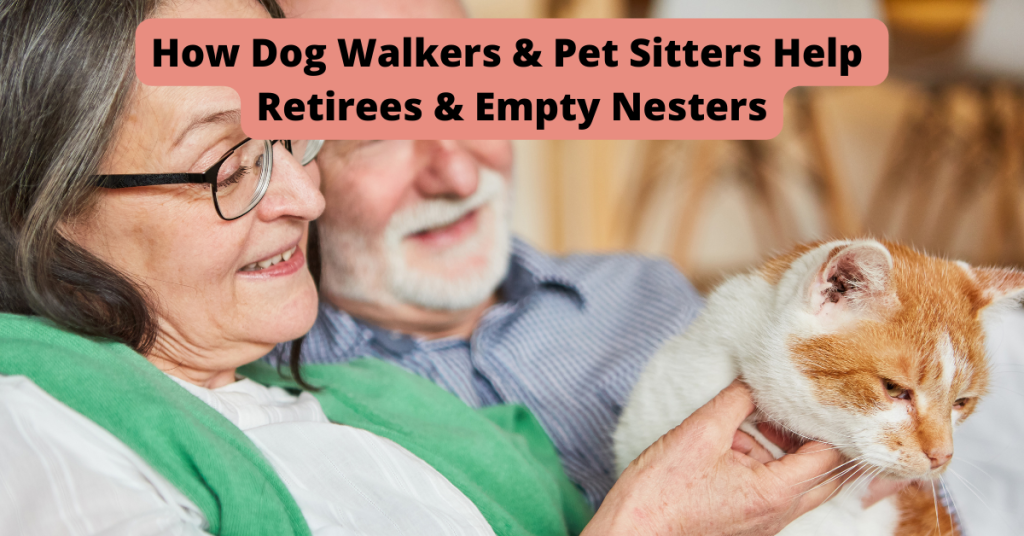 pet sitter dog walker old saybrook