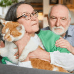 cat sitter old saybrook ct