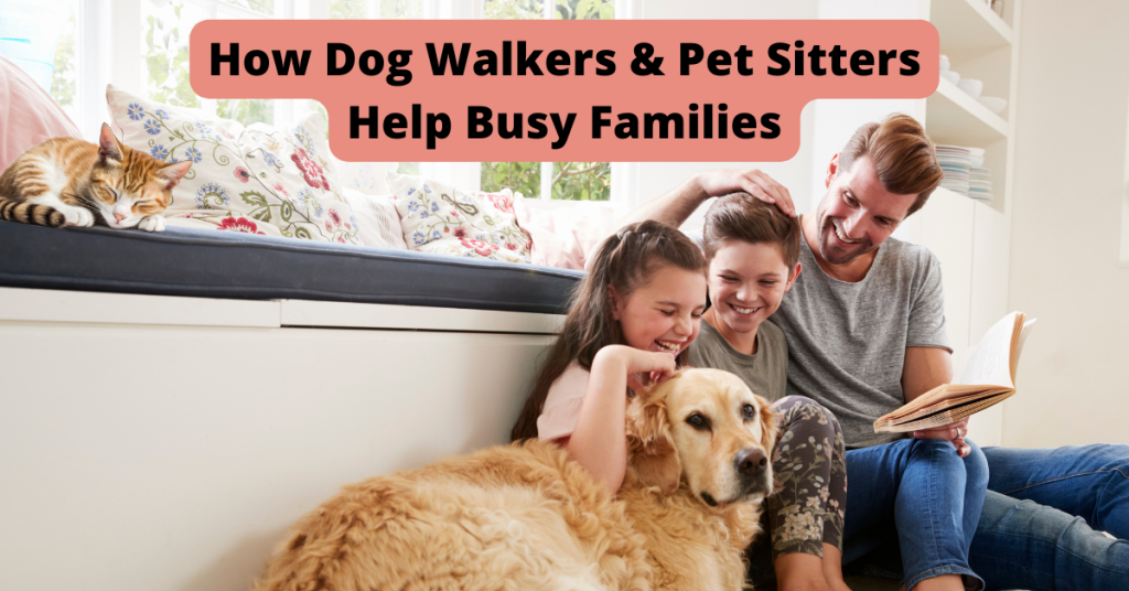 dog walker cat sitter old saybrook