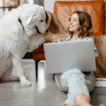 Hiring a Dog Walker While Working From Home 1 dog old saybrook