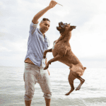 Summer Fun: Keeping Pets Safe in the Sun 2 dog walker ct shoreline