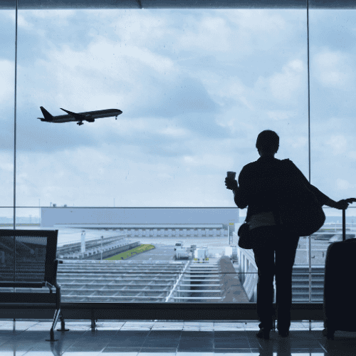 Balancing Life with a Pet 1 pet parent travel