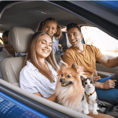 Balancing Life with a Pet 6 pet-friendly travel ct shoreline