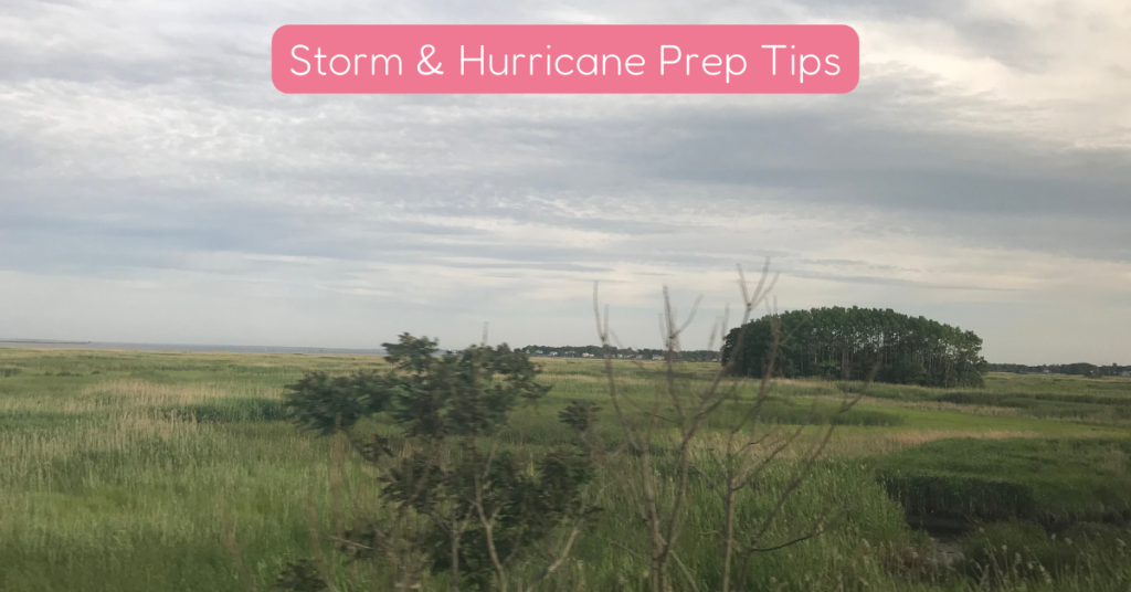 shoreline happy paws hurricane prep pets