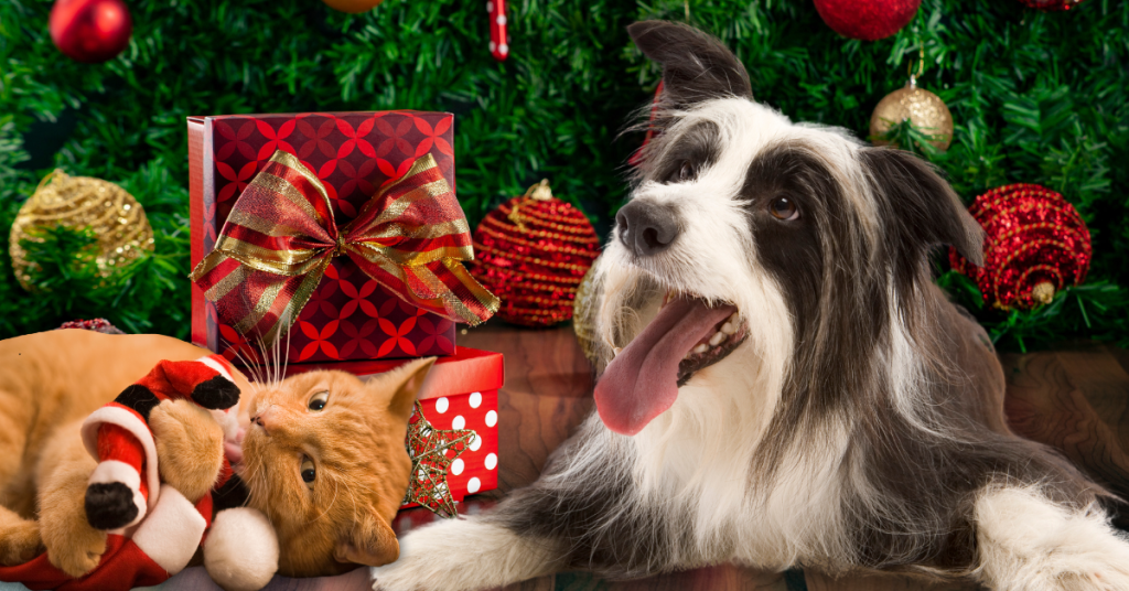 holiday toys for cats and dogs shoreline happy paws