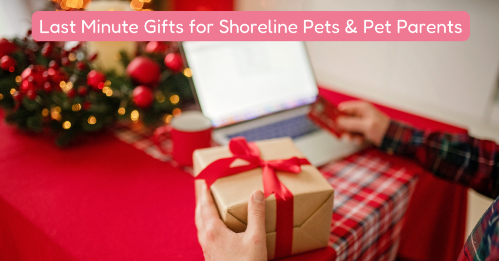 Gift Guide for Shoreline Pets & Pet Parents