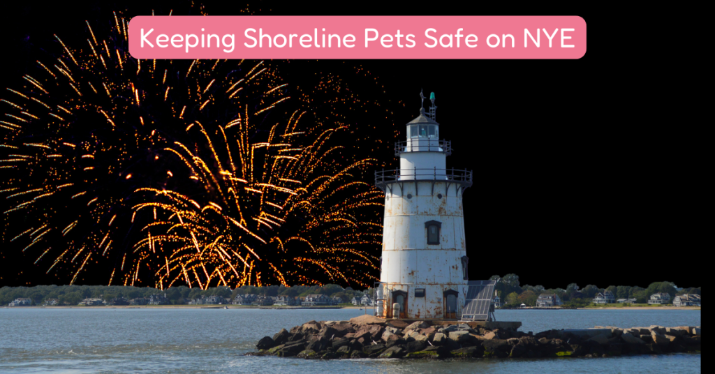 ct shoreline keeping pets safe on nye old saybrook, ct fireworks
