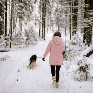 dog walking with owner on snowy Valentine's Day in Old Saybrook, CT Our Three Favorite Ways to Show Your Pet Extra Love On Valentine's Day