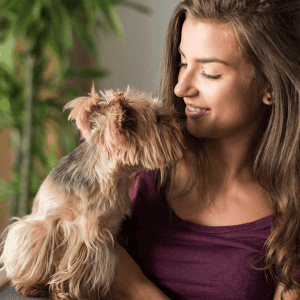 The Top 5 Ways Our Dogs Tell Us They Love Us dog getting pets from girl ct shoreline
