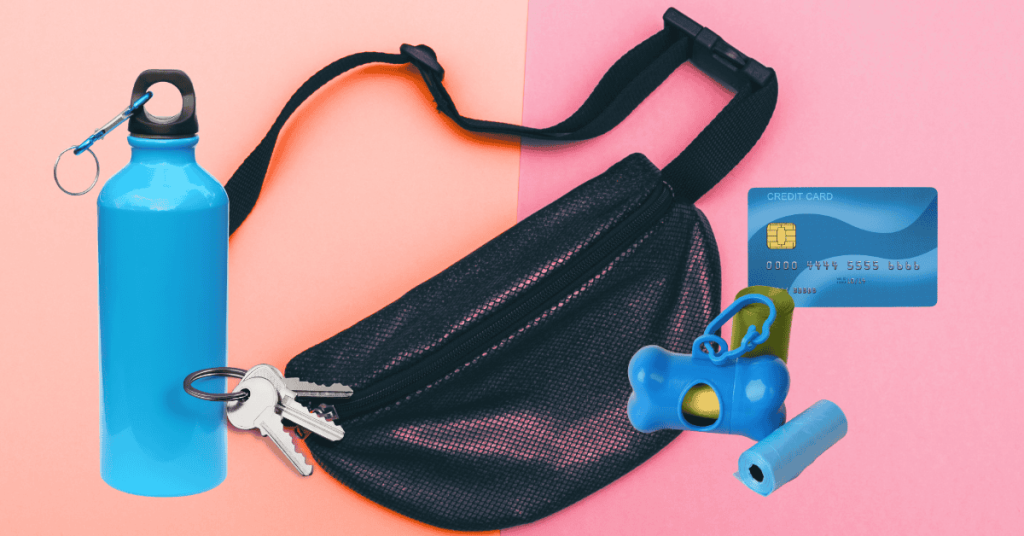 A Pro Dog Walker's Perspective on Dog Walking Bags - dog walking bag and dog walker supplies