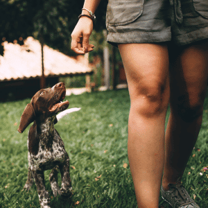 woman with dog in a back yard in Old Saybrook, CT