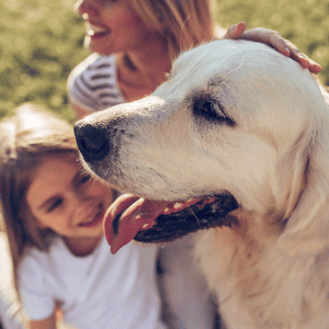 child and mom with dog in the CT Shoreline