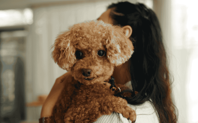 4 Things Our Dogs Would Tell Us If They Weren’t Afraid to Hurt Our Feelings