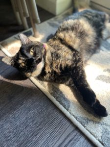 Jill S. – Old Saybrook