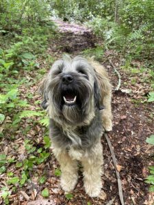 Annie M. – Old Lyme